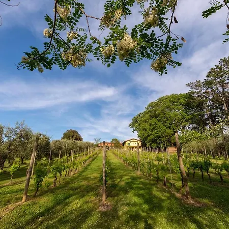 Podere Sant'antonio Vendégház Fauglia