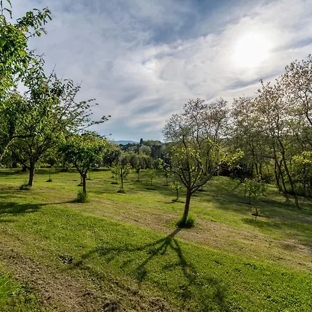 Podere Sant'antonio Fauglia
