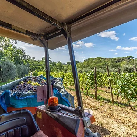 Podere Sant'antonio *