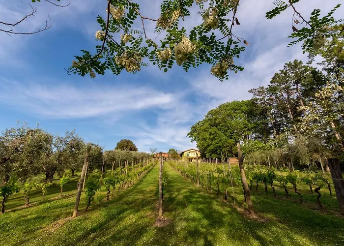 Podere Sant'antonio 招待所 Fauglia