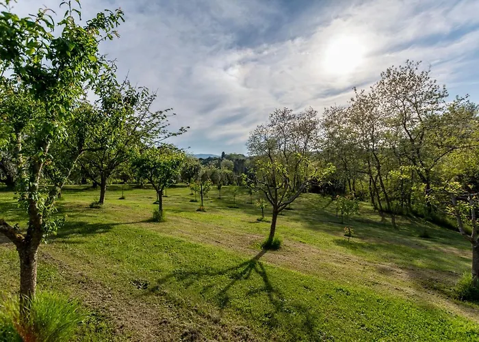 Podere Sant'antonio Fauglia