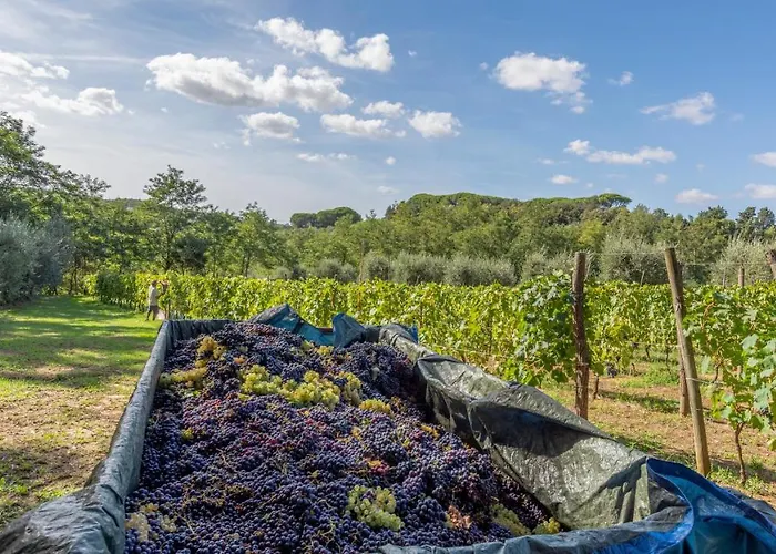 Podere Sant'antonio 招待所