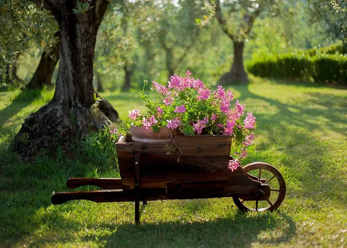 招待所 Podere Sant'antonio Fauglia
