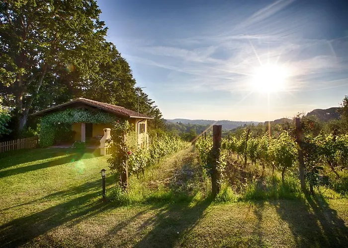 招待所 Podere Sant'antonio