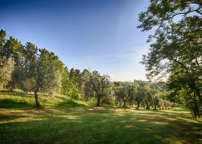Podere Sant'antonio 4*
